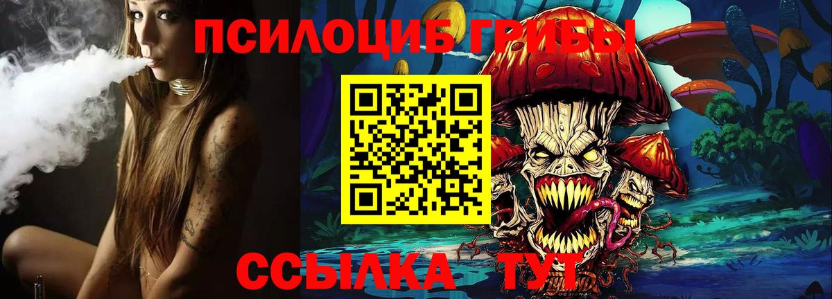 Галлюциногенные грибы прущие грибы Татарск